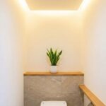 トイレに観葉植物は窓なしだと風水的にNG？小さめ一鉢と空間づくり