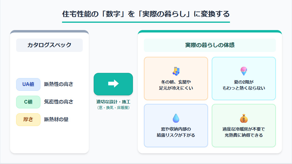 UA値やC値などの住宅性能数値を、冬の足元の暖かさや夏の涼しさといった実際の暮らしの体感に変換するイメージ図